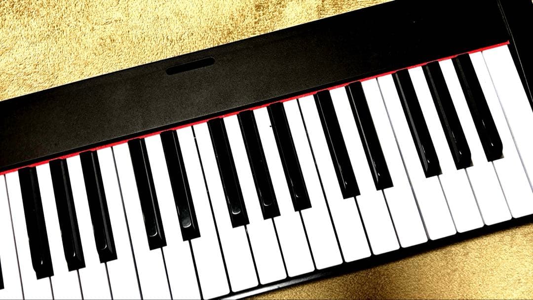 TERENCE 電子ピアノ　61鍵盤　初心者向け