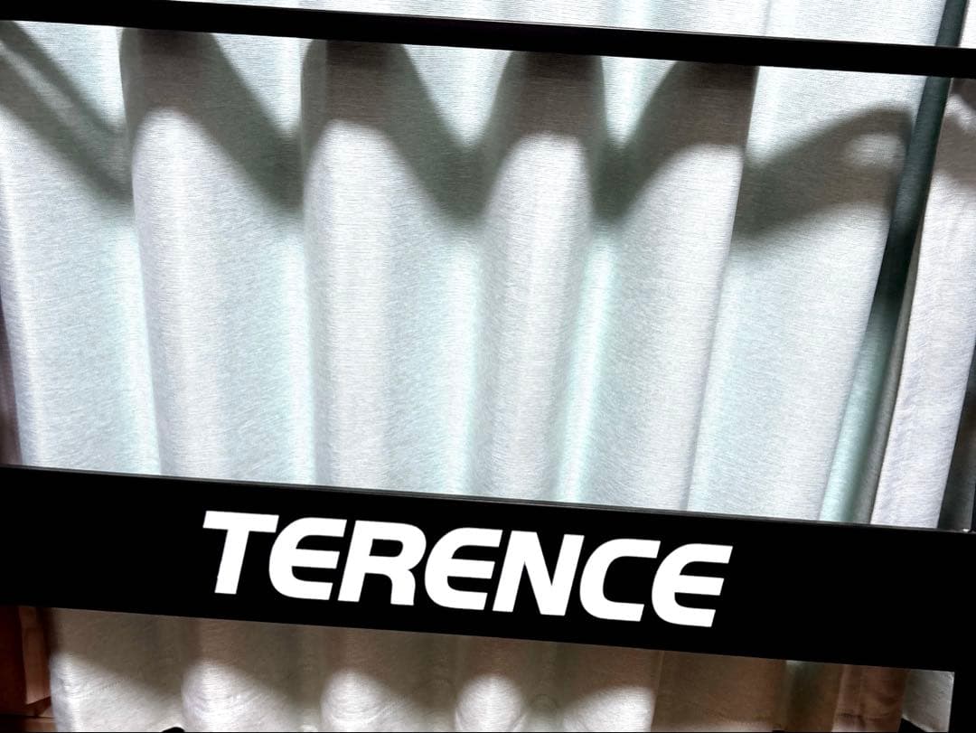 TERENCE 電子ピアノ　61鍵盤　初心者向け