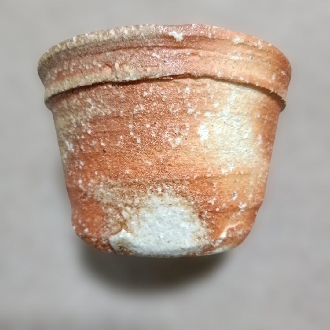 古谷和也作品　信楽の未来を担う逸材の「信楽向付け　5客」