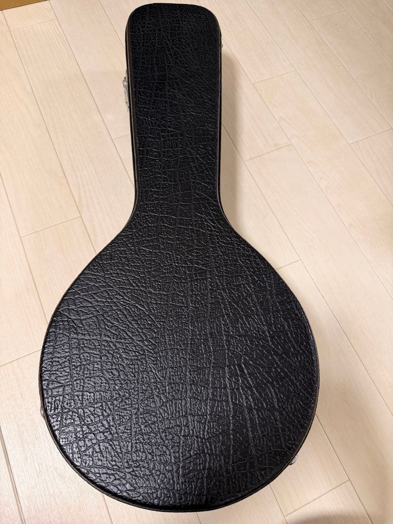 Aria AM-20 マンドリン