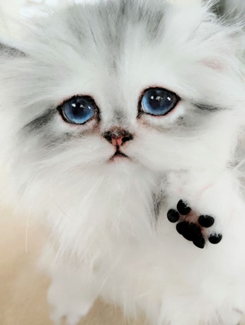 チンチラシルバー子猫ちゃん♡アイラインくっきり美人ちゃん♡アートドールぬいぐるみ