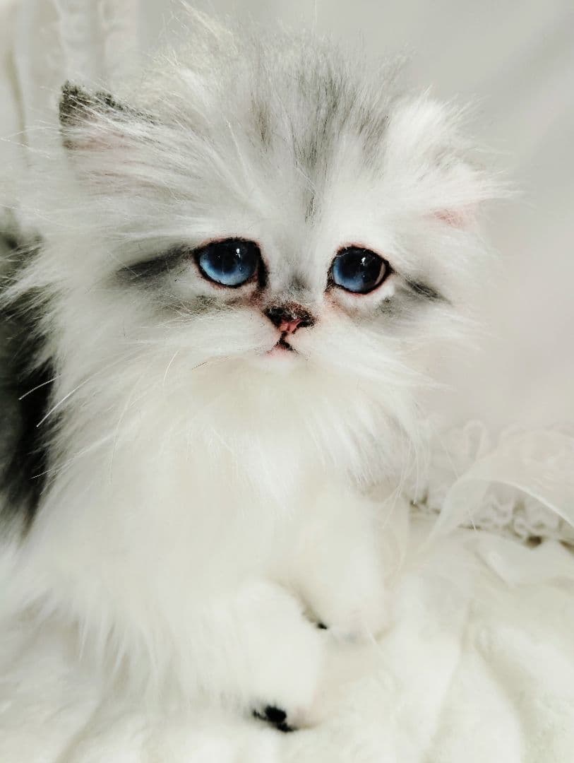 チンチラシルバー子猫ちゃん♡アイラインくっきり美人ちゃん♡アートドールぬいぐるみ