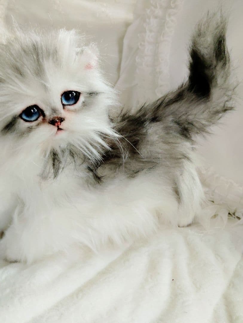 チンチラシルバー子猫ちゃん♡アイラインくっきり美人ちゃん♡アートドールぬいぐるみ