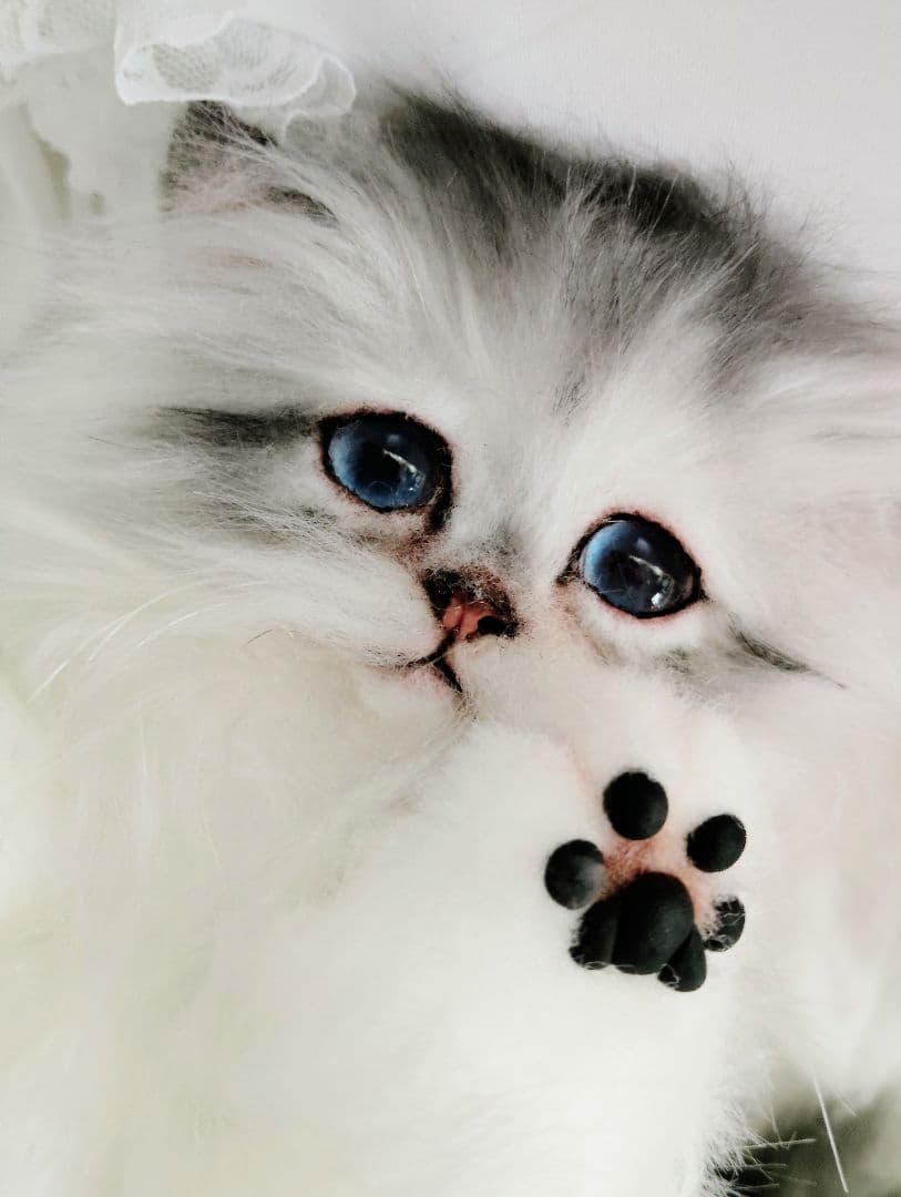 チンチラシルバー子猫ちゃん♡アイラインくっきり美人ちゃん♡アートドールぬいぐるみ