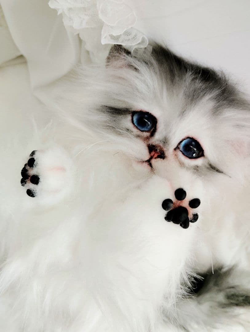 チンチラシルバー子猫ちゃん♡アイラインくっきり美人ちゃん♡アートドールぬいぐるみ