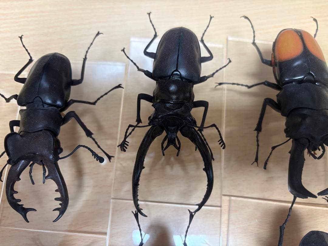 バンダイ　クワガタフィギュア　標本風　7種