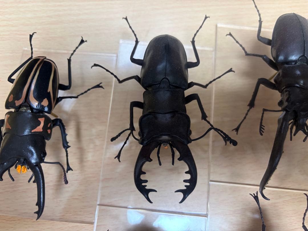 バンダイ　クワガタフィギュア　標本風　7種