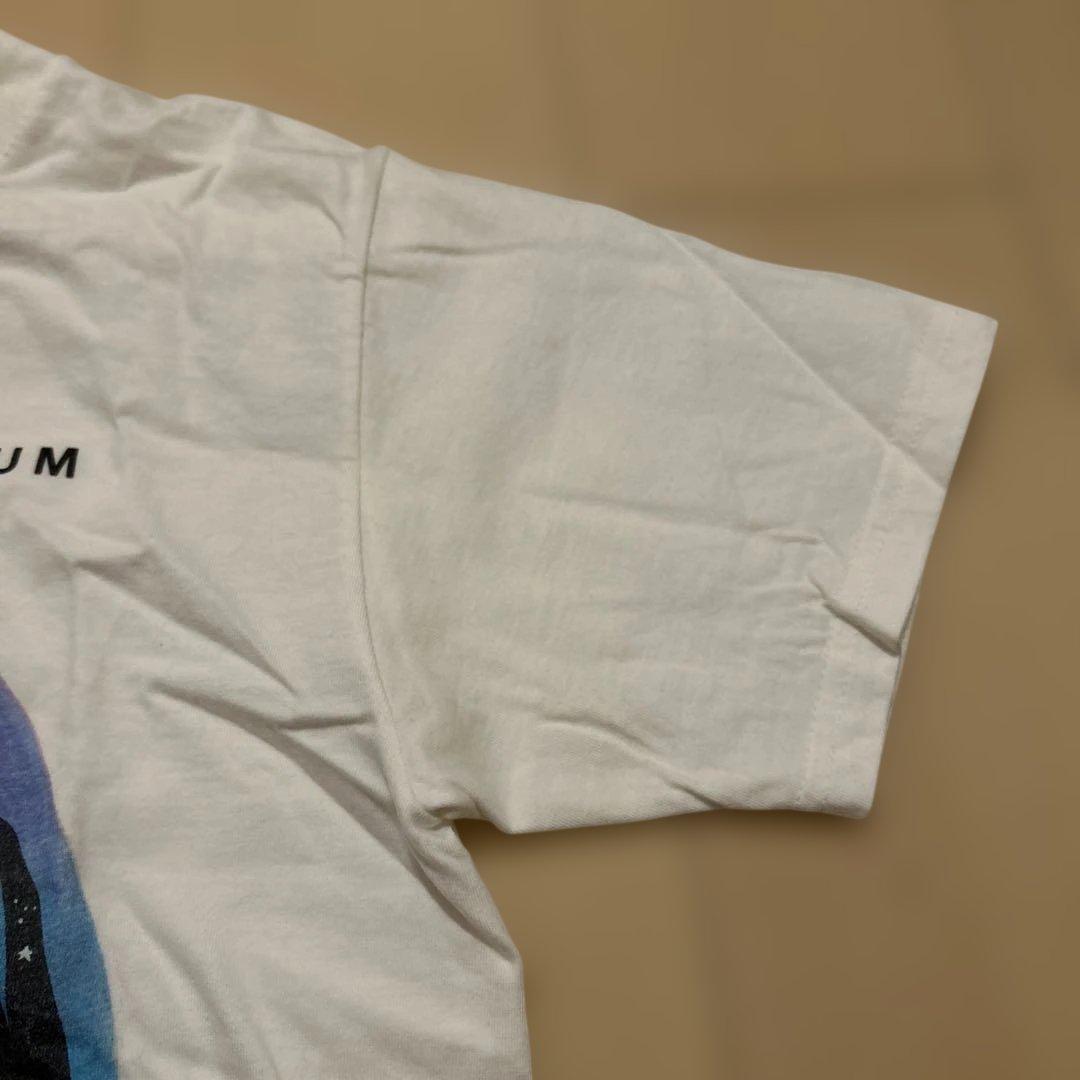 銀杏BOYZ GING NANG BOYZ ♥ LUM Tシャツ Sサイズ