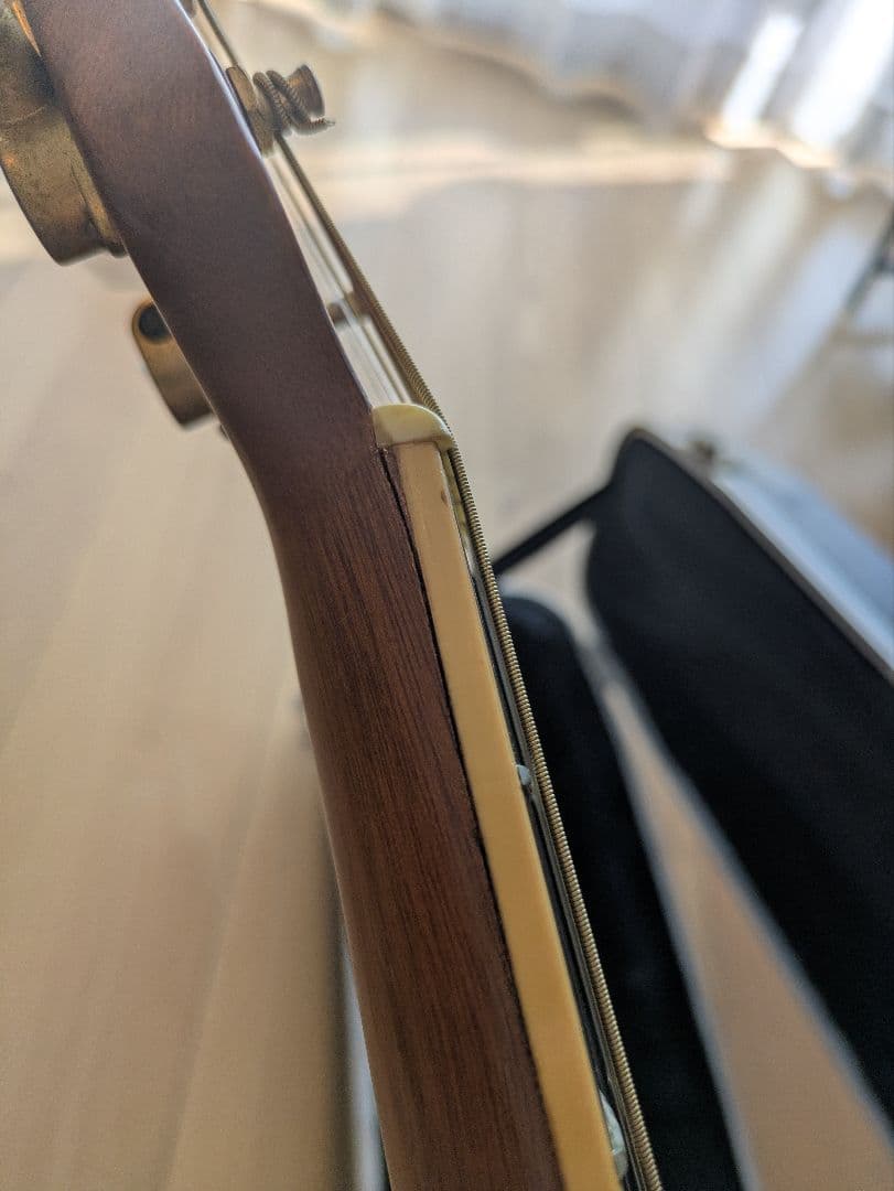 Ovation Celebrity オベーション ハードケース付き