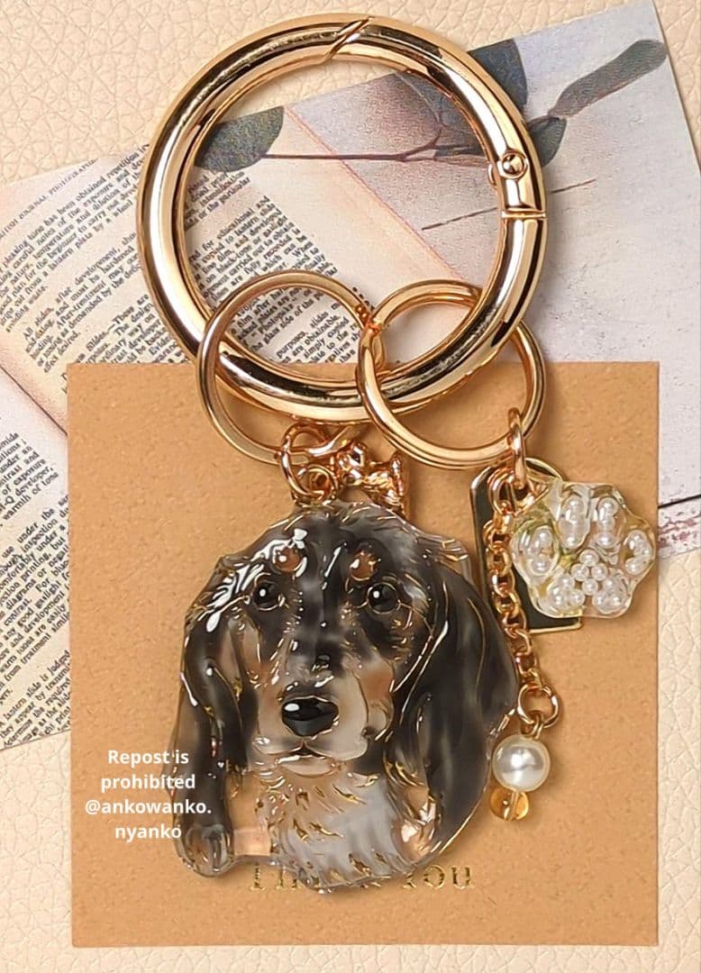 ダックスフンド　愛犬 ankoわんこシリーズ　バッグリング　犬