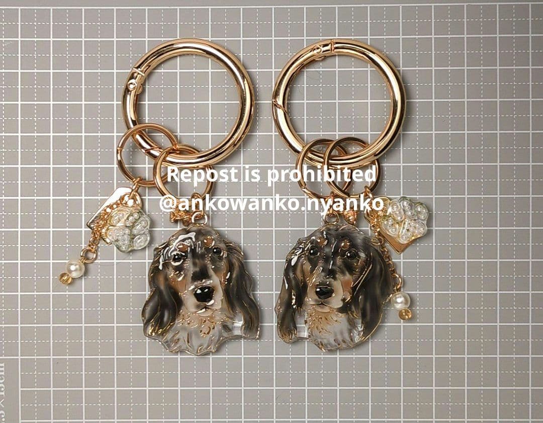 ダックスフンド　愛犬 ankoわんこシリーズ　バッグリング　犬