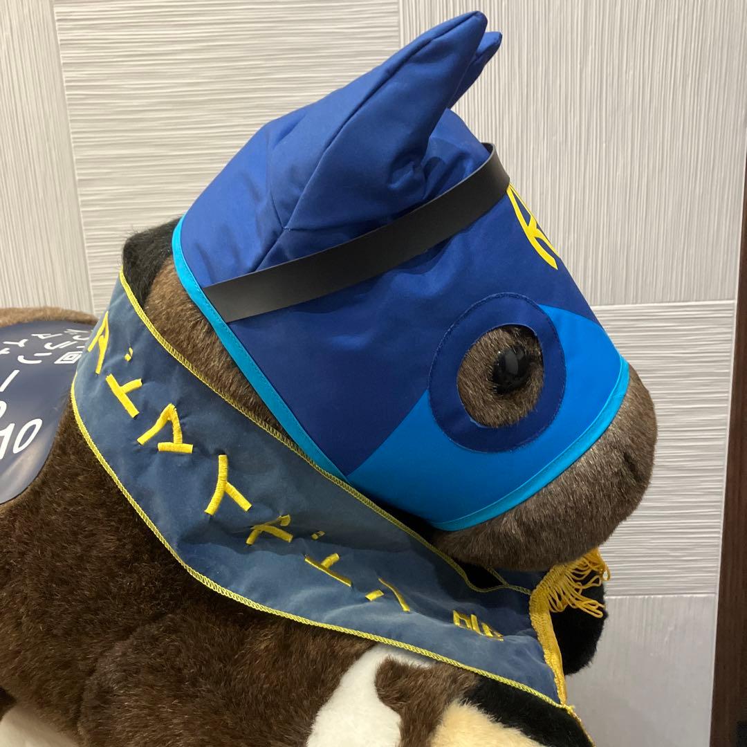 AVANTI＊アドマイヤドン2L（第21回フェブラリーS）