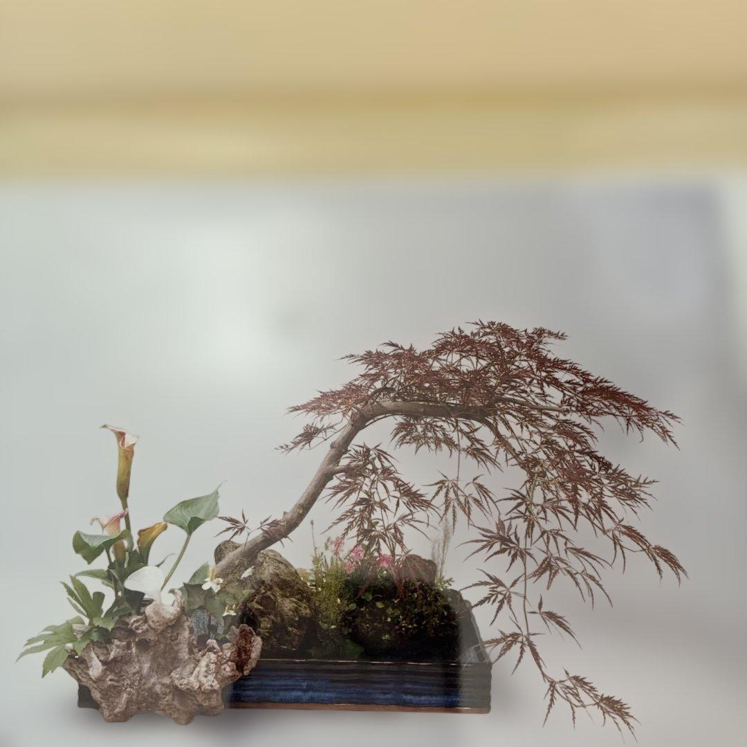 花器水盤　三彩　生け花華展用に