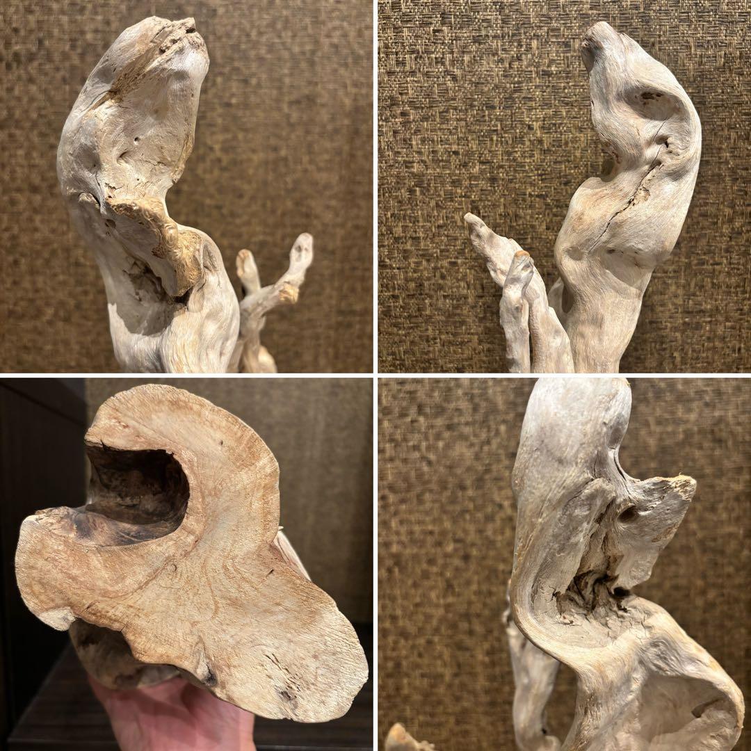 流木　大型75.5cm 超インテリア