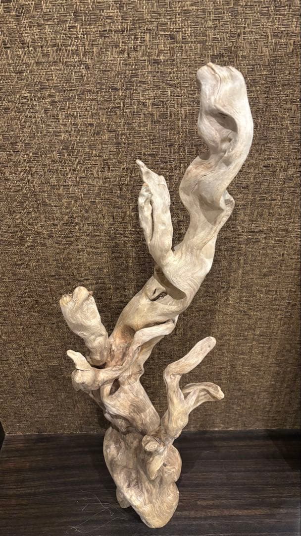 流木　大型75.5cm 超インテリア