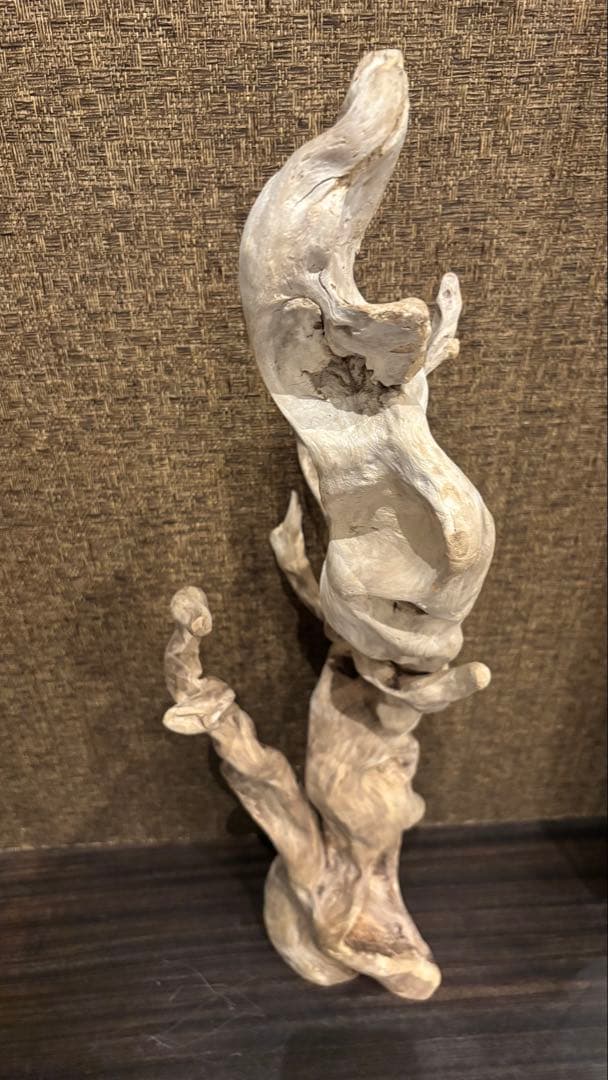 流木　大型75.5cm 超インテリア