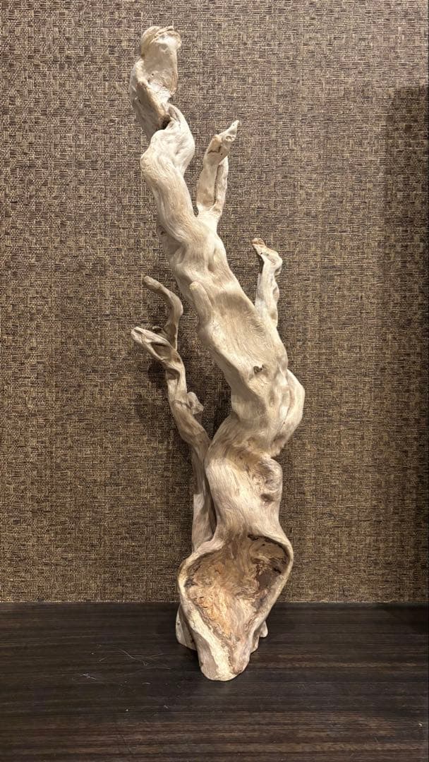 流木　大型75.5cm 超インテリア