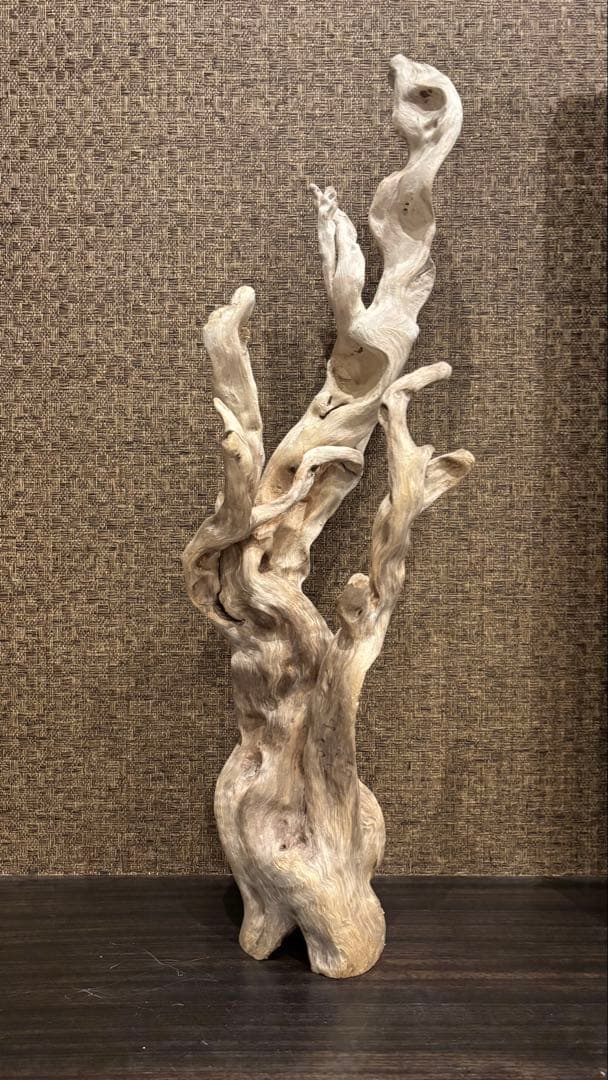 流木　大型75.5cm 超インテリア