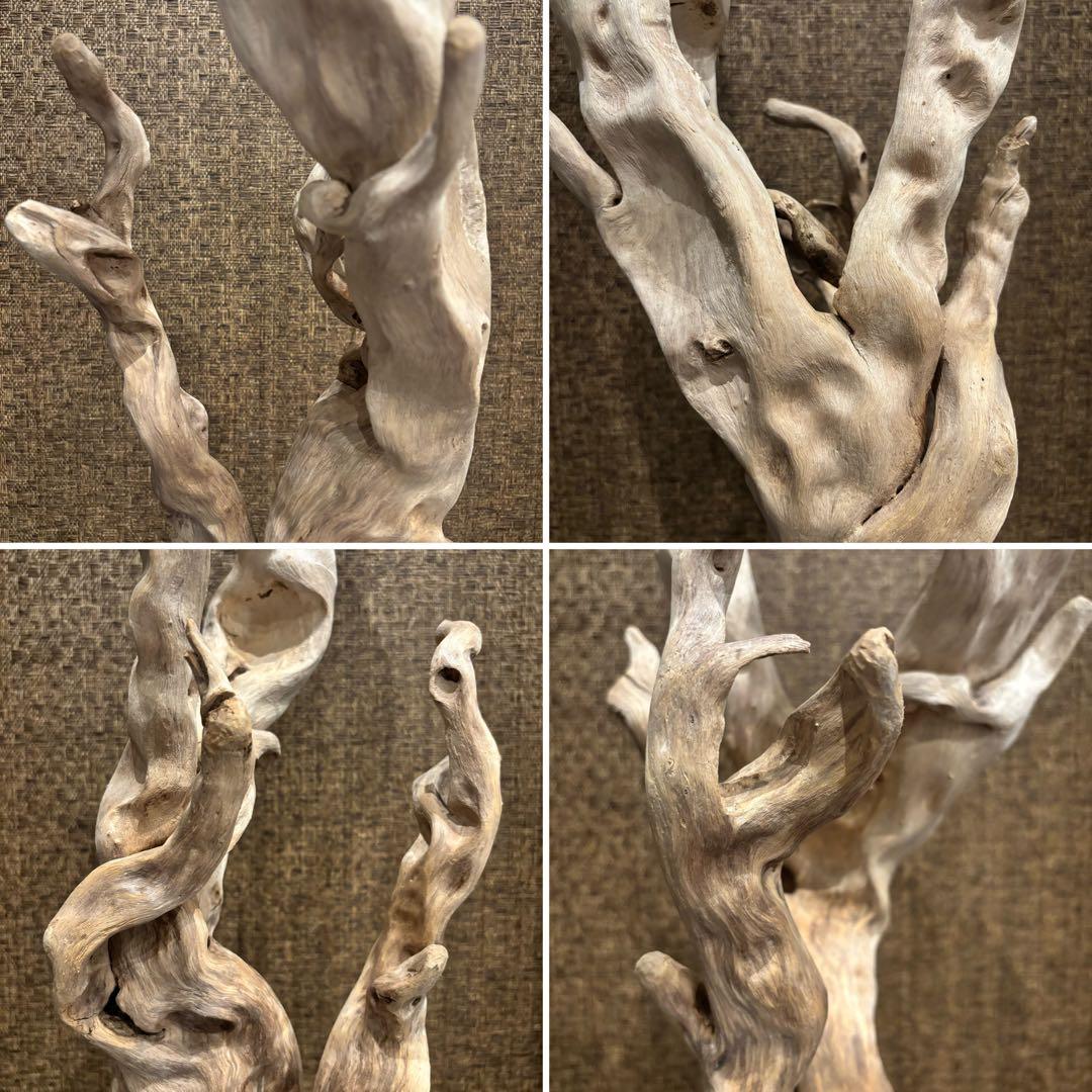 流木　大型75.5cm 超インテリア