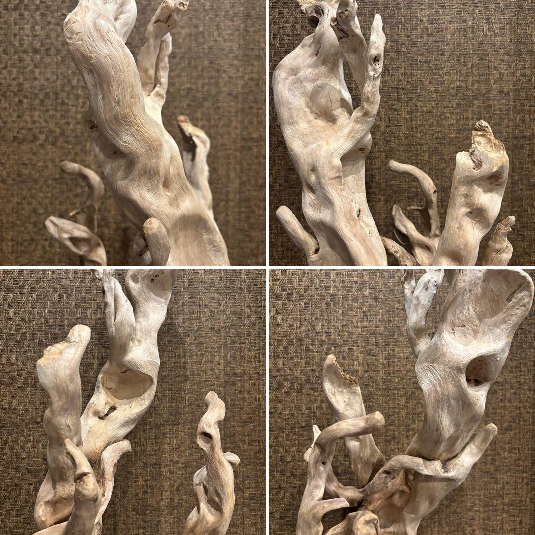 流木　大型75.5cm 超インテリア