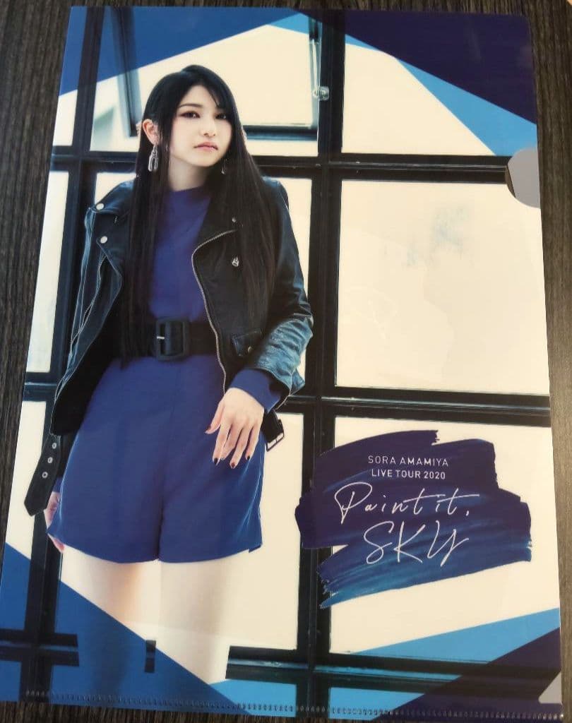 雨宮天 クリアファイル23枚セット