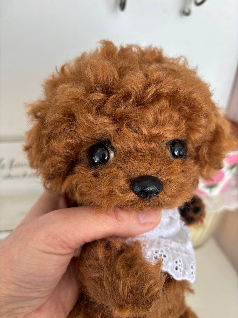 テディプードル　テディわんこ　プードル　ぬいぐるみ　トイプードル