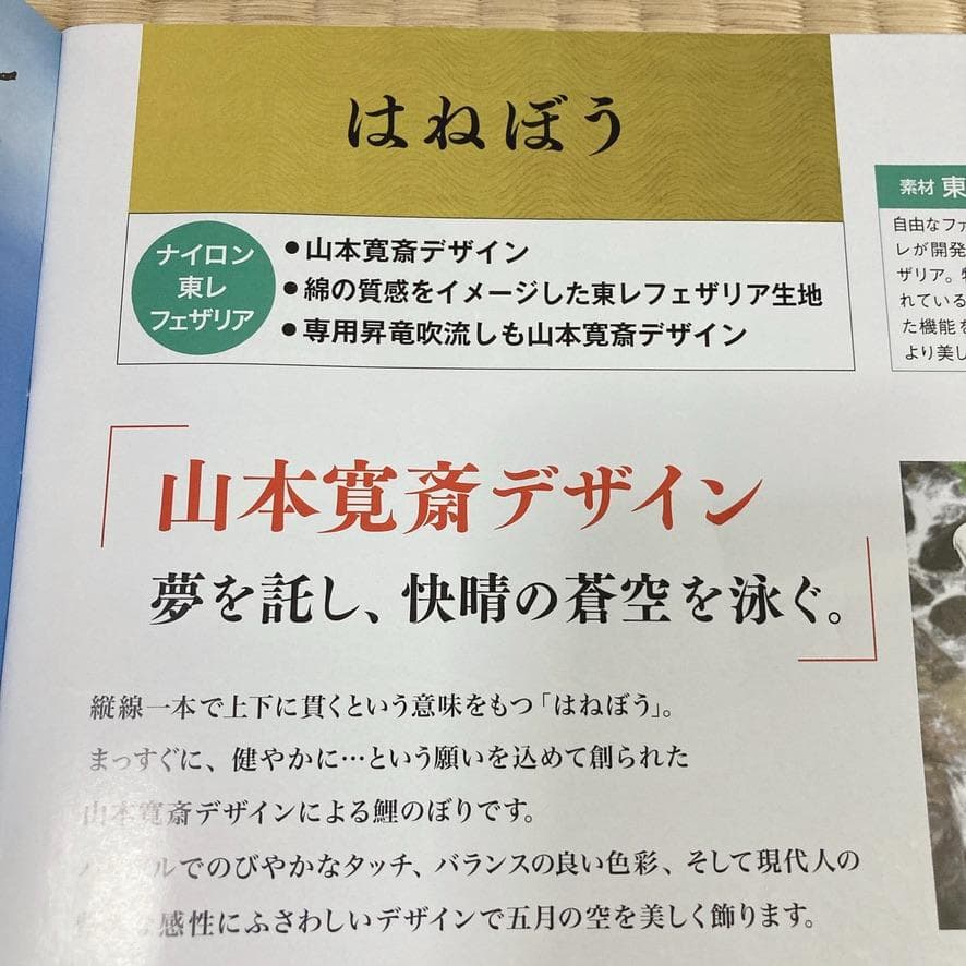 SKO107 山本寛斎デザイン　鯉のぼり5m単品　はねぼう5m　黒鯉5m