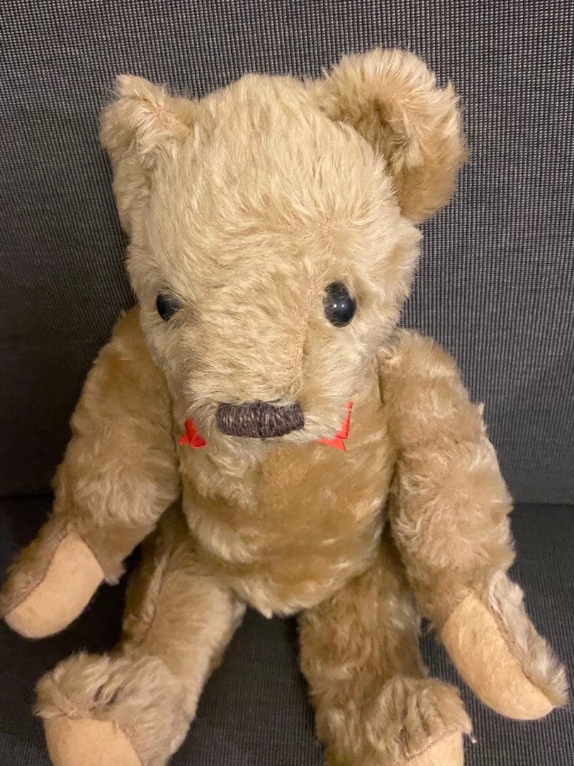 イギリスHOUSE ofNISBET YES.NOテディベア