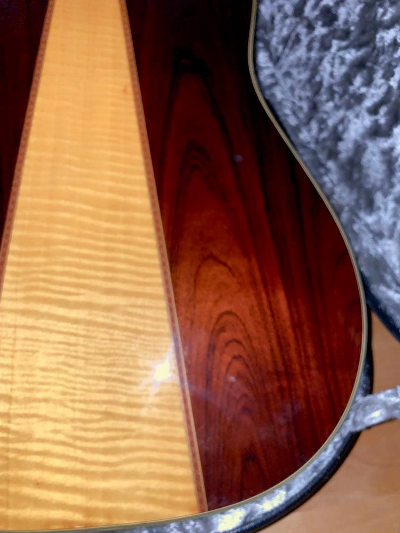 Morris アコースティックギター TF50スプルース単板ハカランダHC付