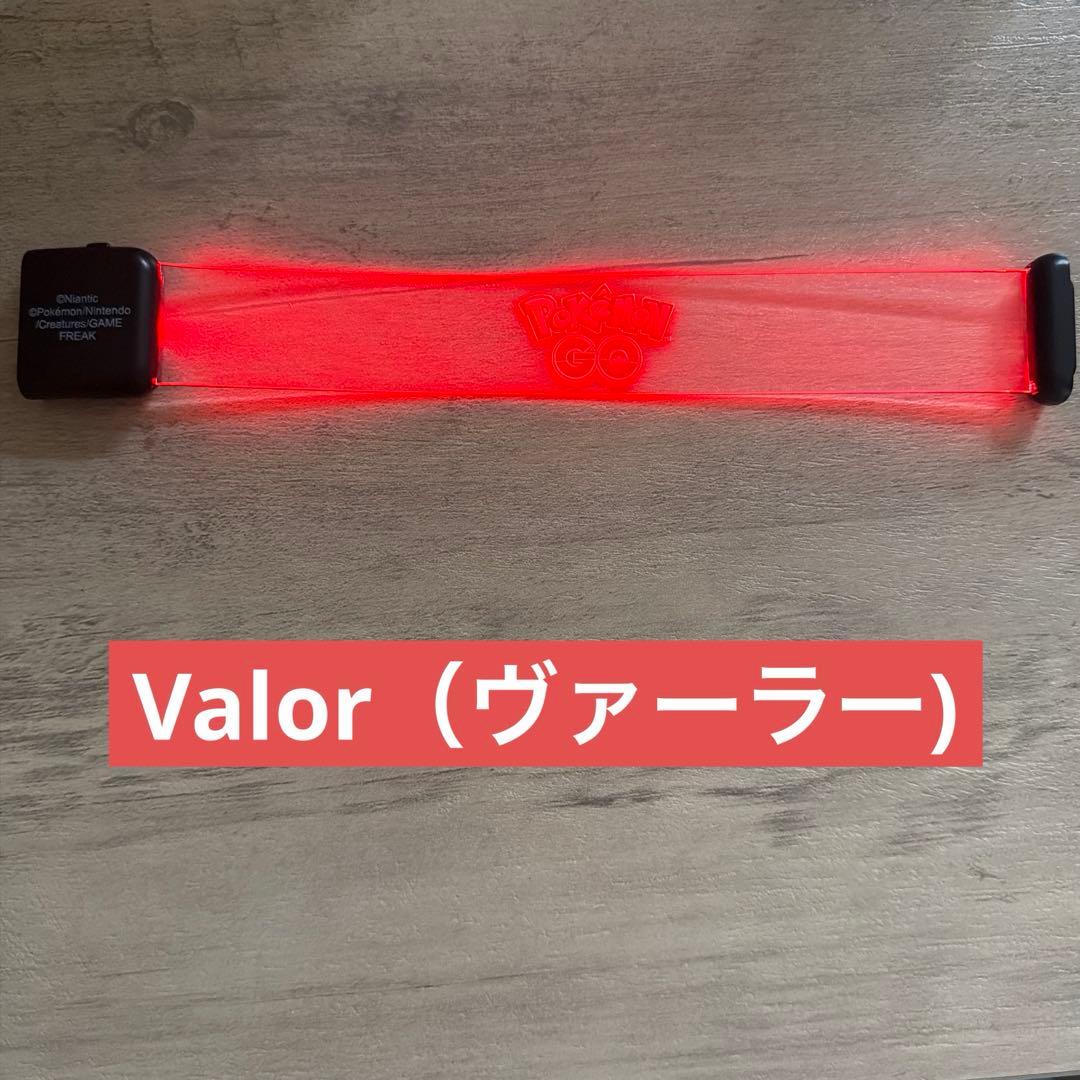 ポケモンGO Tourカロス　メガシンカナイト　ロサンゼルス　公式グッズセット