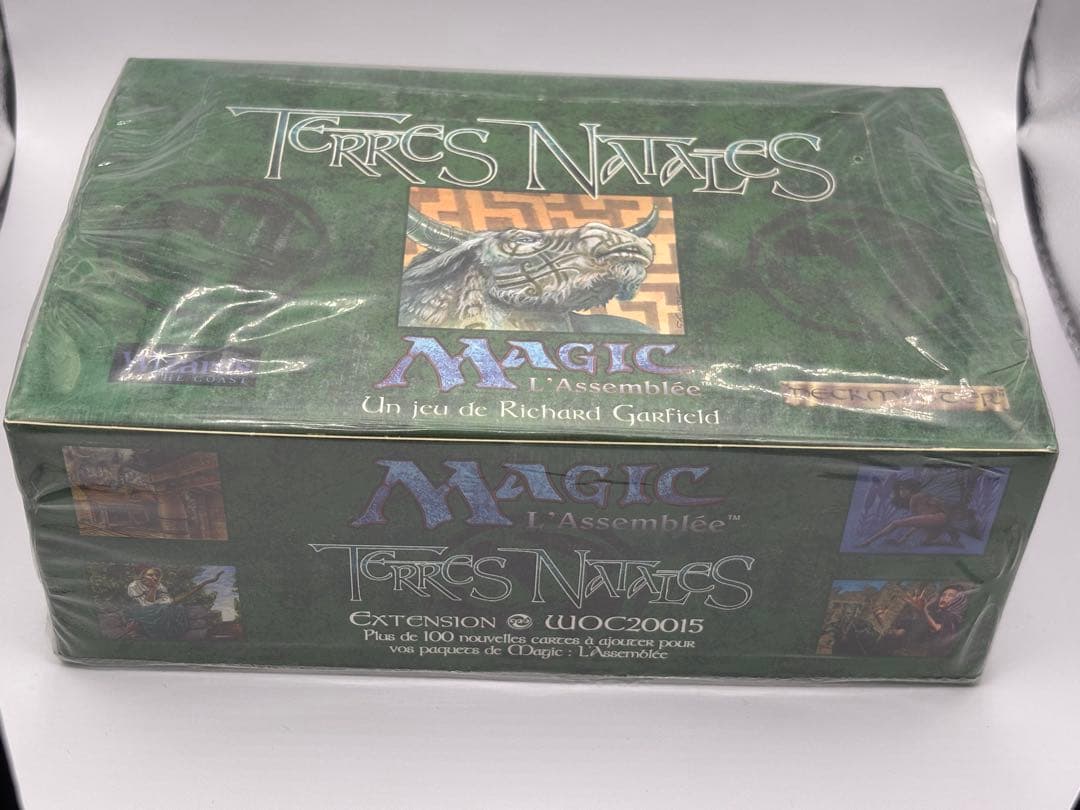 MTG ボックスland (Terres Natales) フランス語