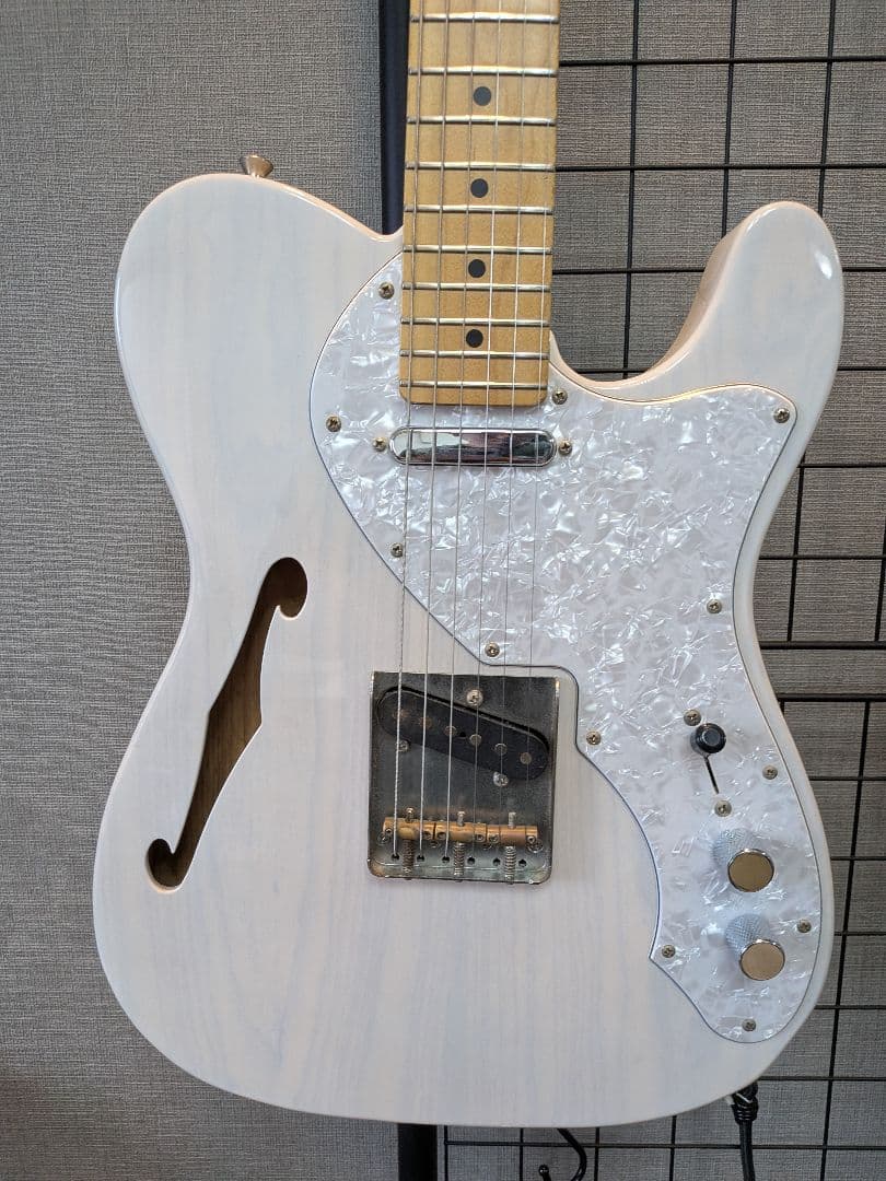 Fujigen NTE100MAHTL フジゲン thinline シンライン