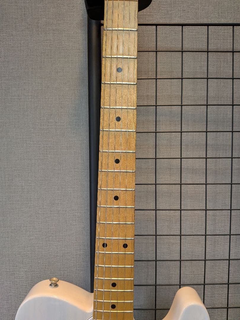 Fujigen NTE100MAHTL フジゲン thinline シンライン