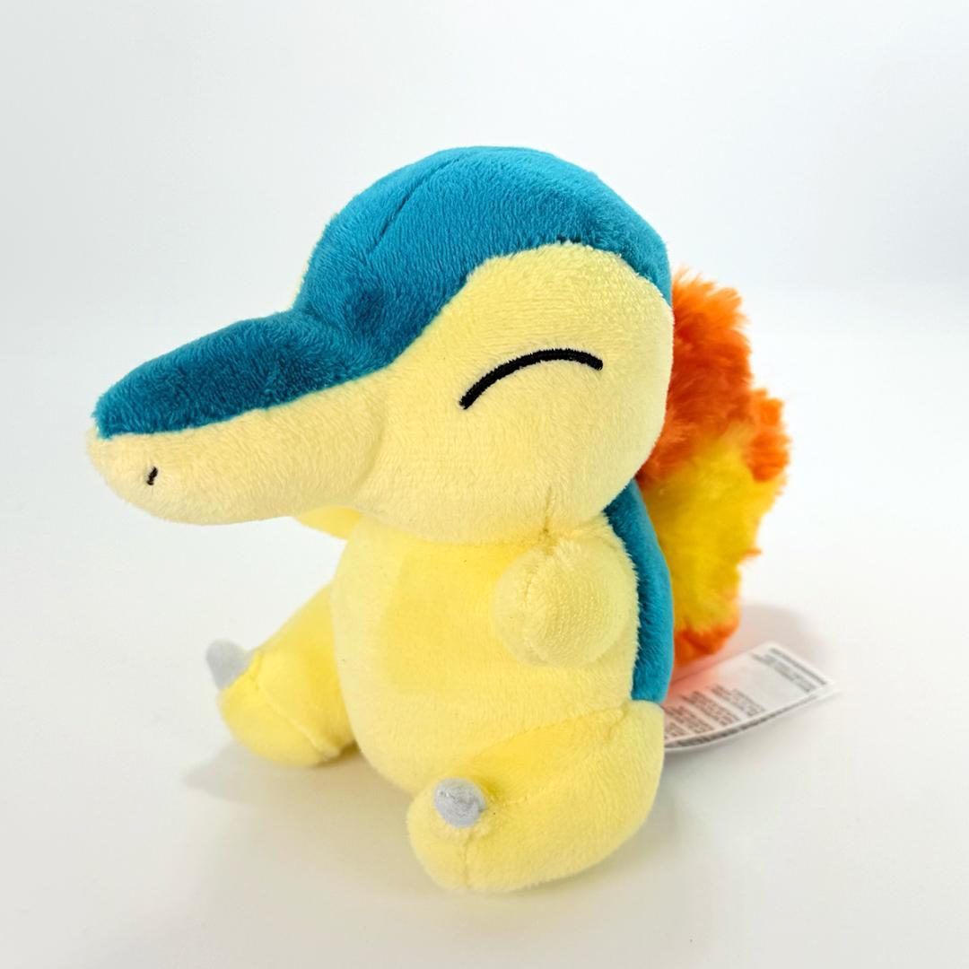 【ポケモンセンター限定・希少】ぬいぐるみ 10個セット 新千歳空港CA etc