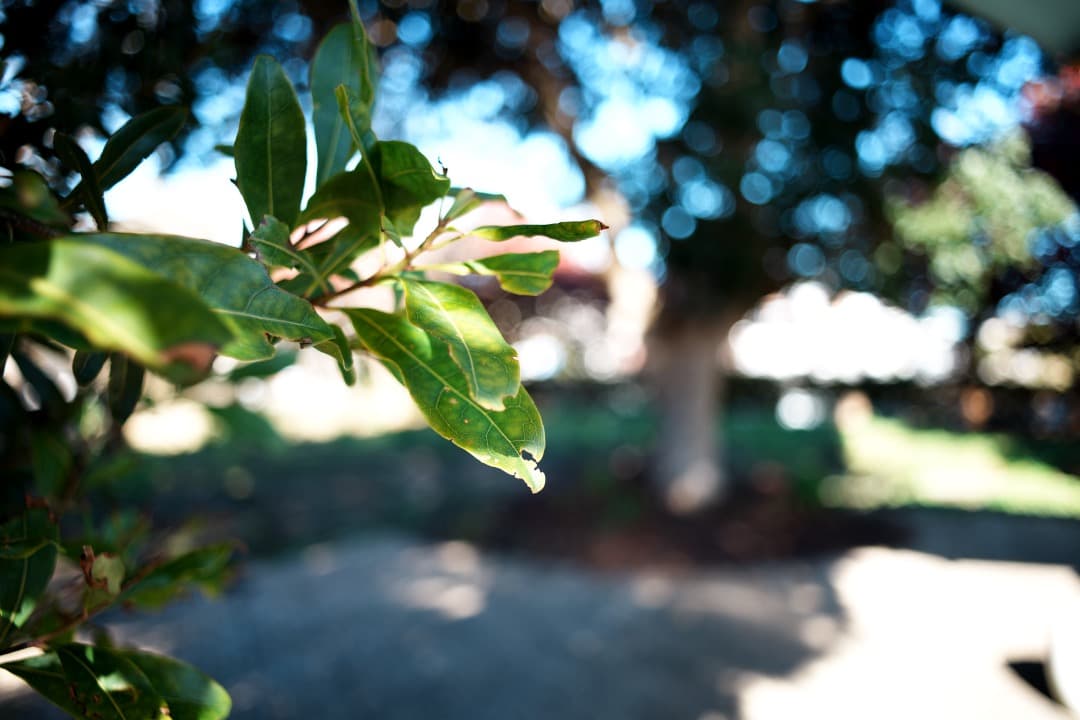 【極美品】動作◎ ミノルタ New MD 28mm F2.8 668