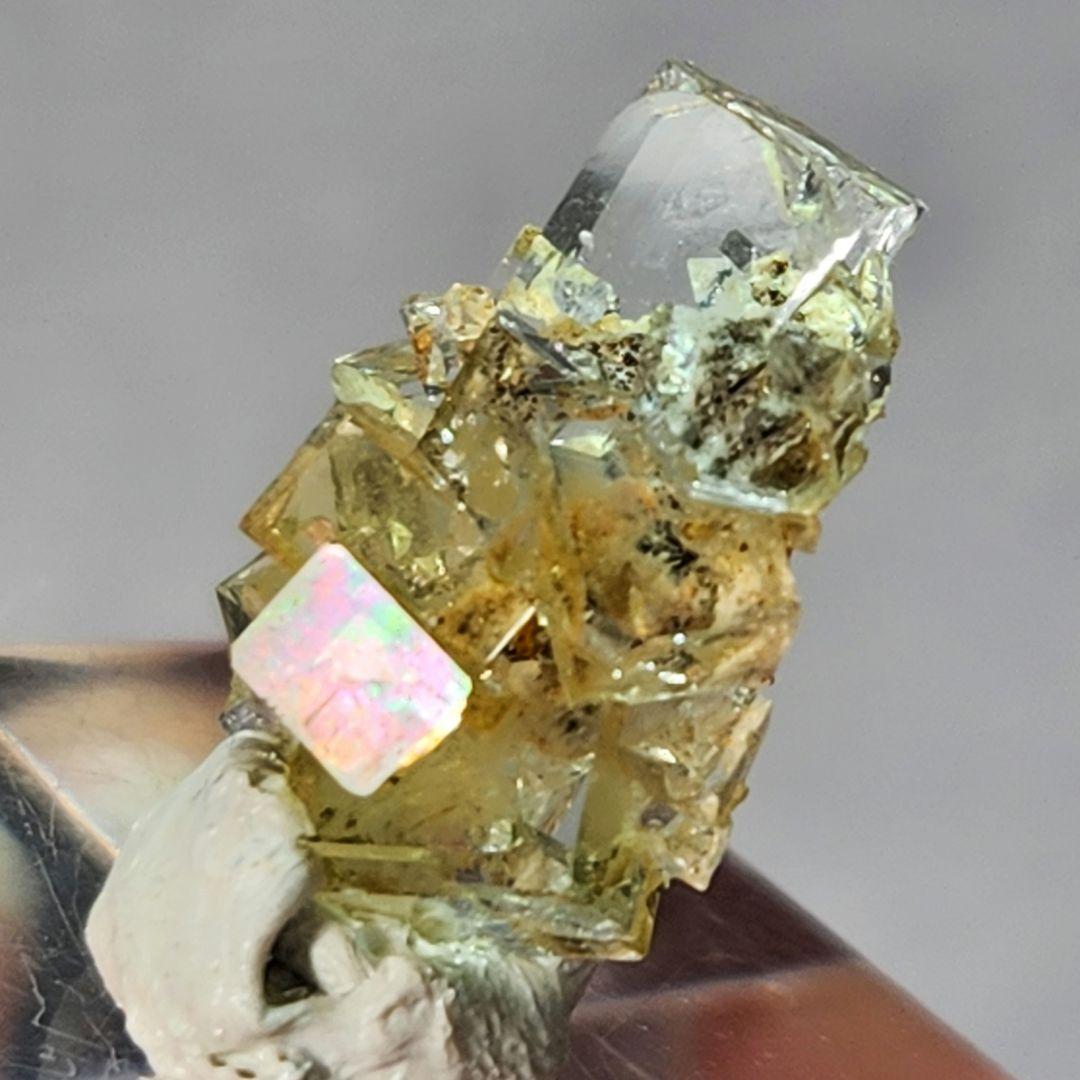 ハイグレード✨ニューヨーク産フローライト＆ドロマイト共生原石