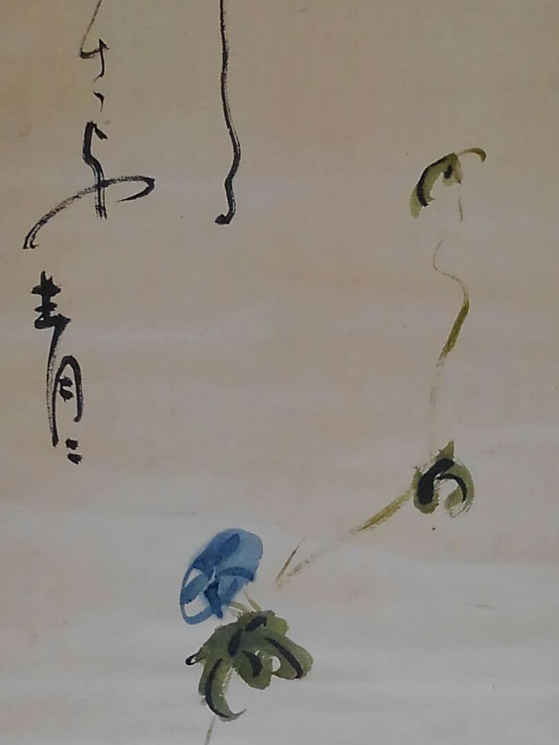 ♥掛軸　俳句　短歌　朝顔　【　青々　】　桐箱付き　掛け軸