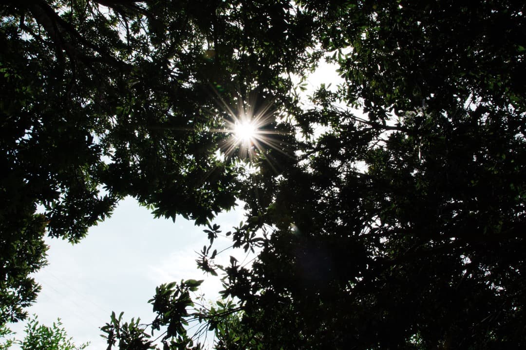 極上美品★ニコン 18-200mm VR II 便利ズーム 手ぶれ補正