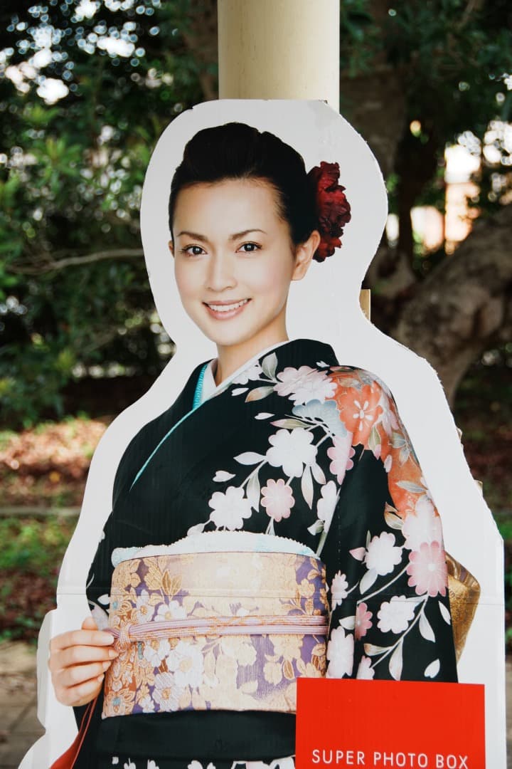 極上美品★ニコン 18-200mm VR II 便利ズーム 手ぶれ補正