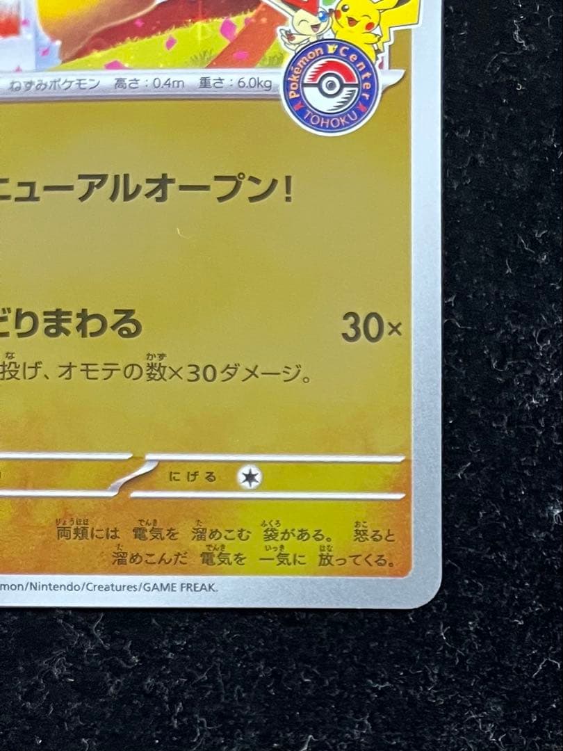 トウホクのピカチュウ ③
