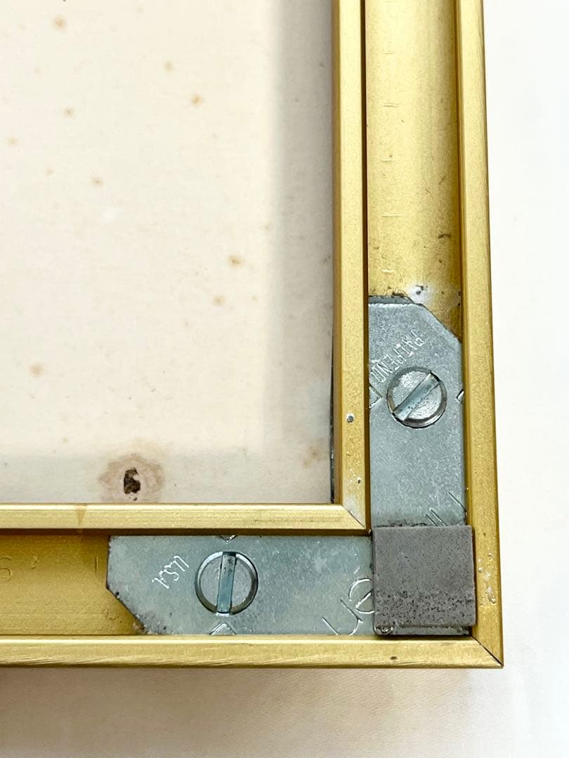 グラシエラ・ロド・ブーランジェ「子供と鳥」 リトグラフ ニールセン額 希少品2