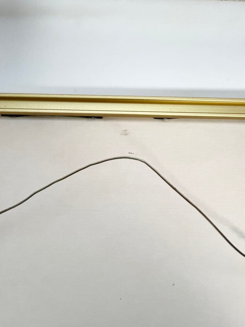 グラシエラ・ロド・ブーランジェ「子供と鳥」 リトグラフ ニールセン額 希少品2