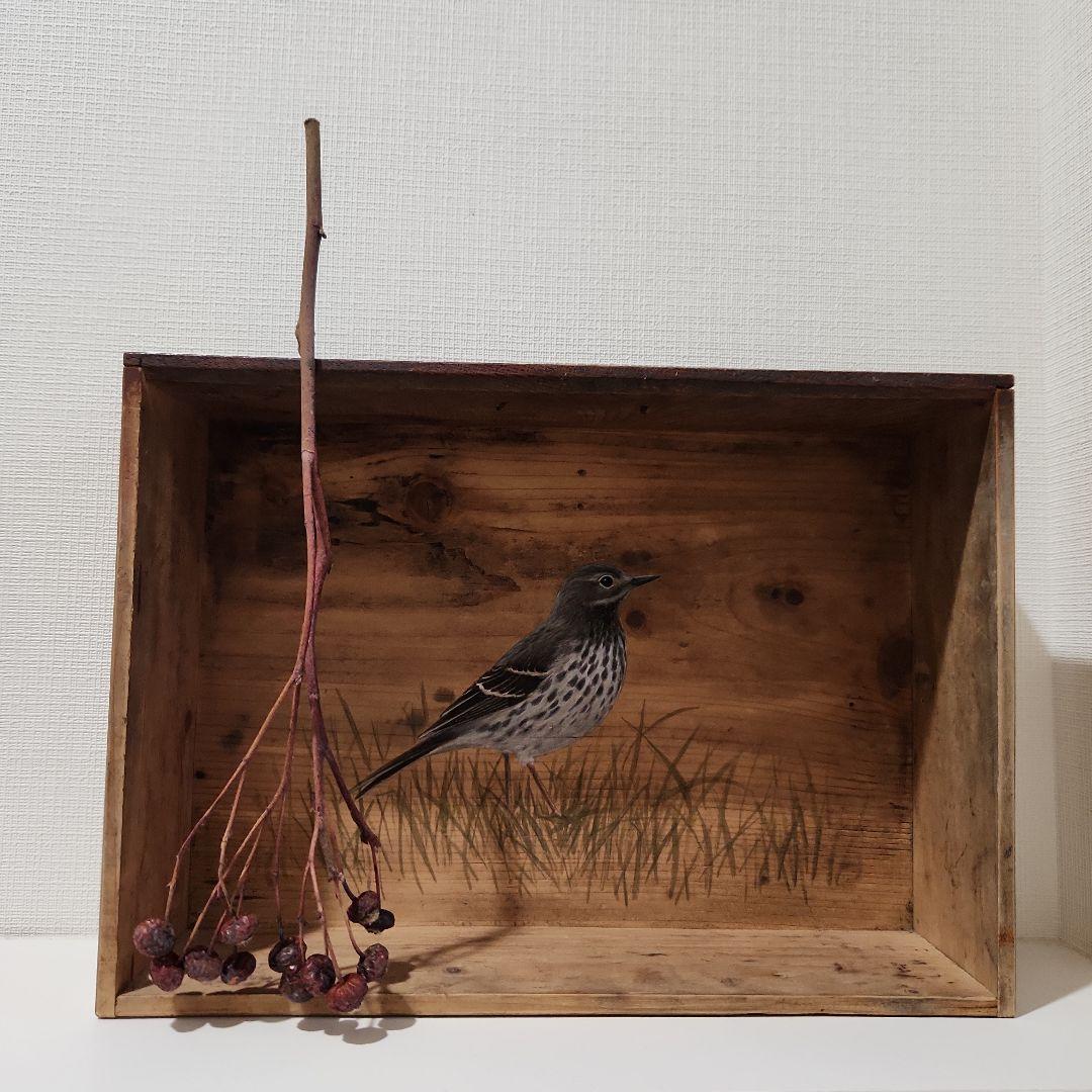 ユカワアツコ　引き出しの絵画　鳥と草　展示会購入　原画
