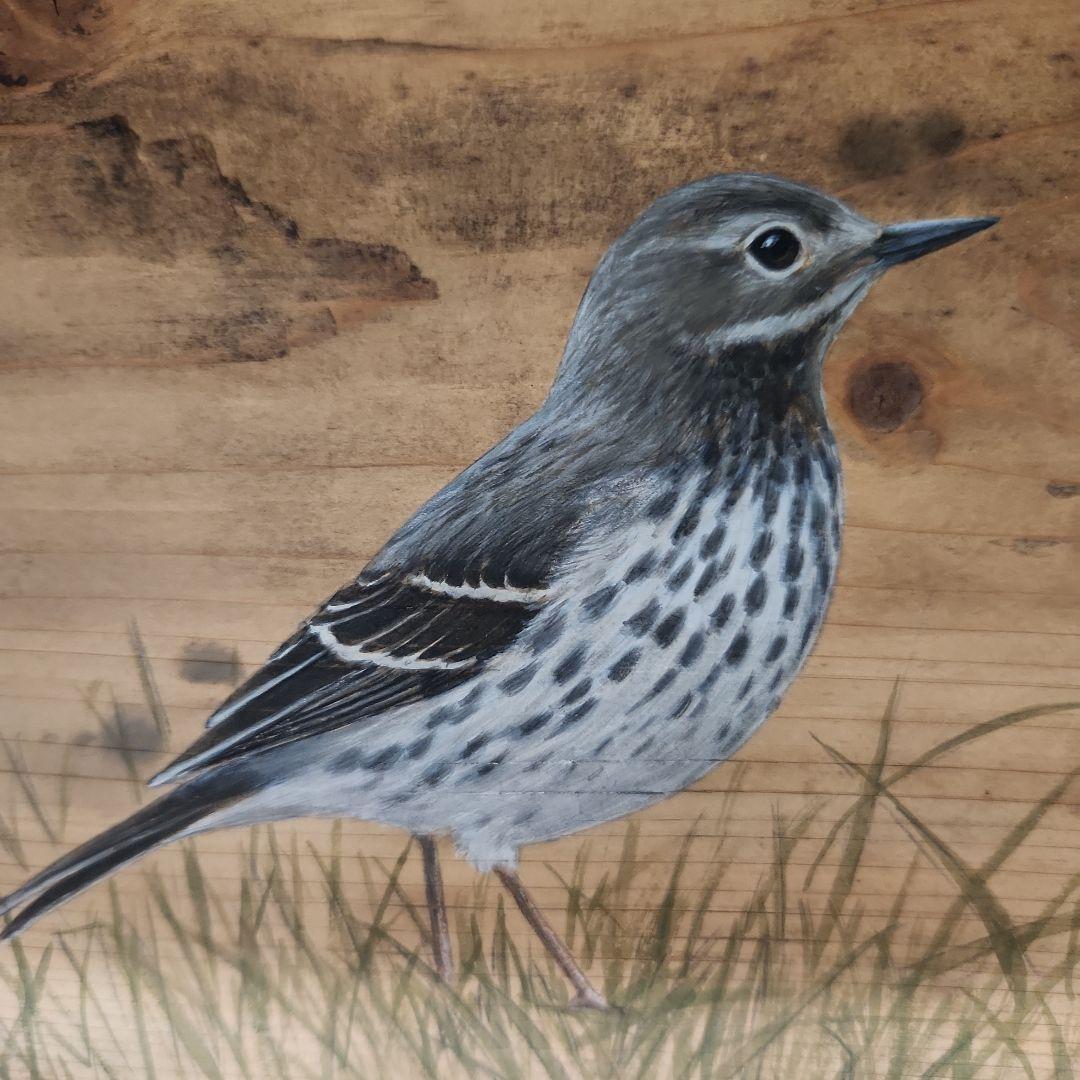 ユカワアツコ　引き出しの絵画　鳥と草　展示会購入　原画