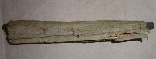 稀少 アンティーク 定額山 善光寺 一光三尊阿弥陀如来像 観音菩薩 紙本 掛軸