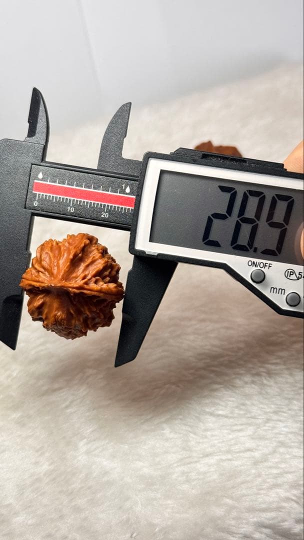28.9极品秋子