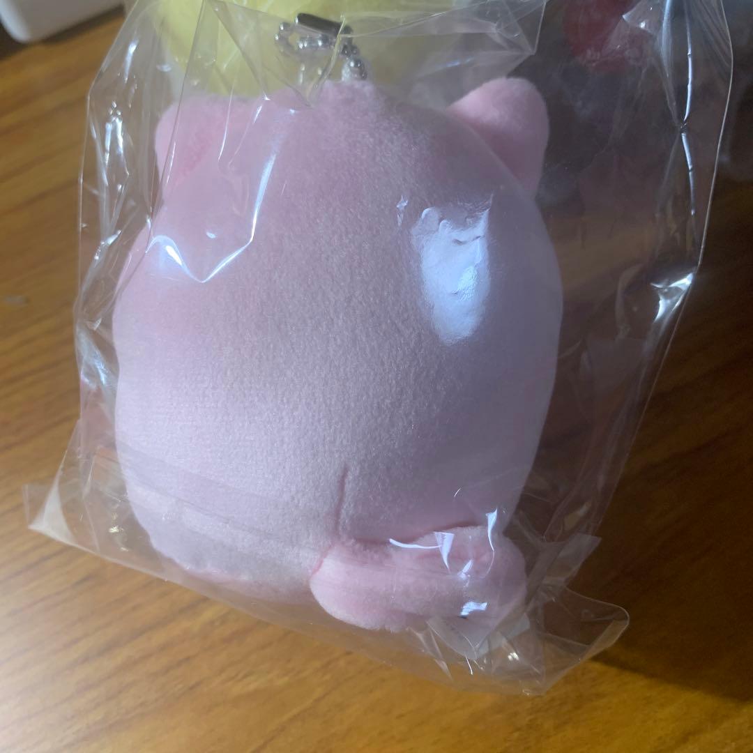 すとぷり あにまるますこっと