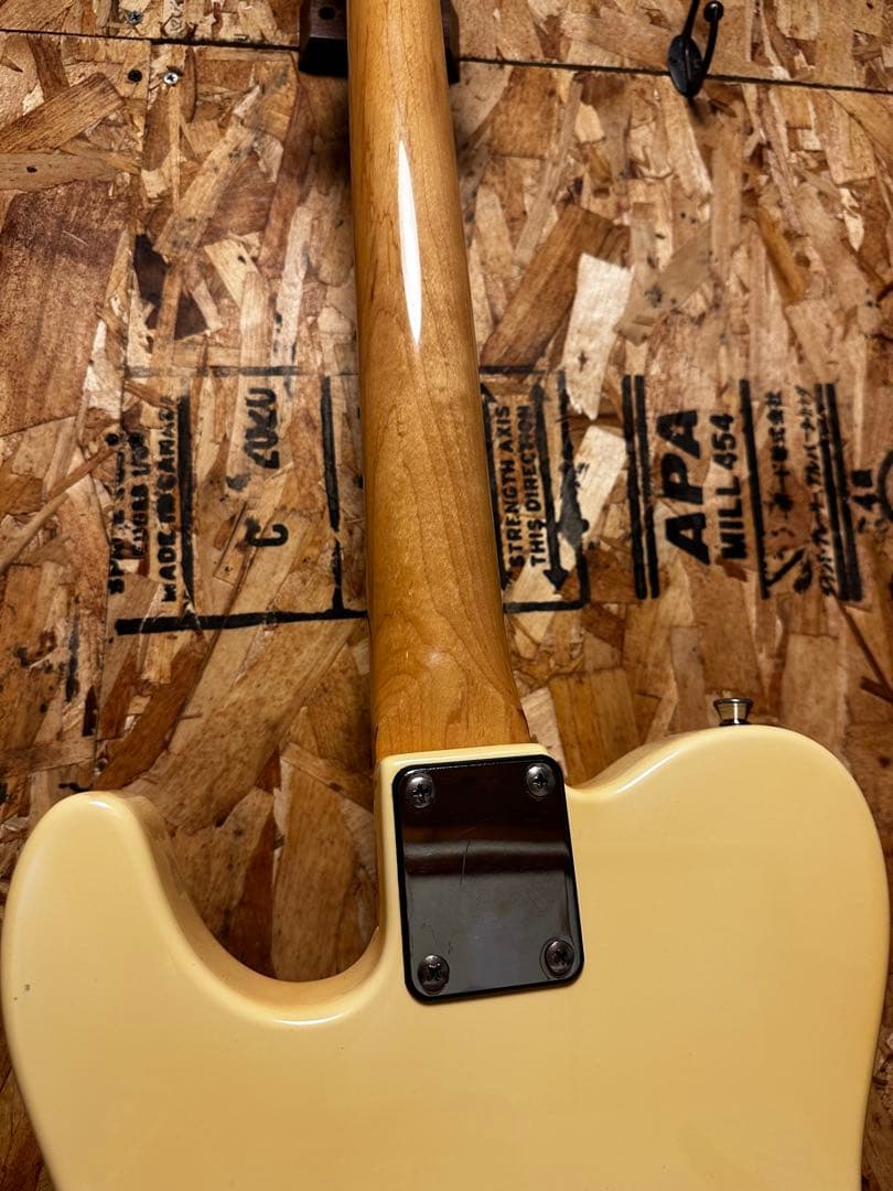 ギター Bacchus BTE350M mod