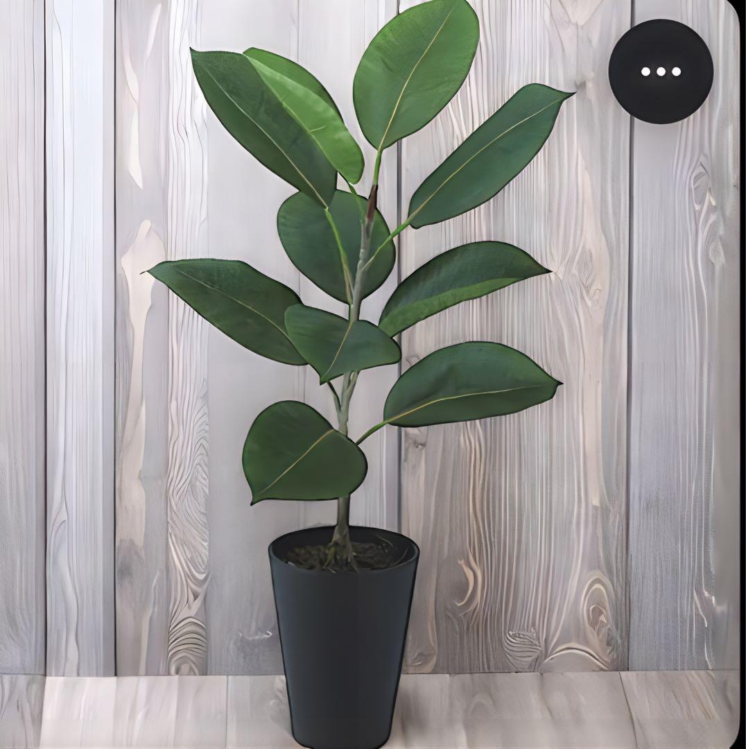 光触媒　人工観葉植物　ウォールグリーン　フェイクグリーン　デコラゴムルーツポット