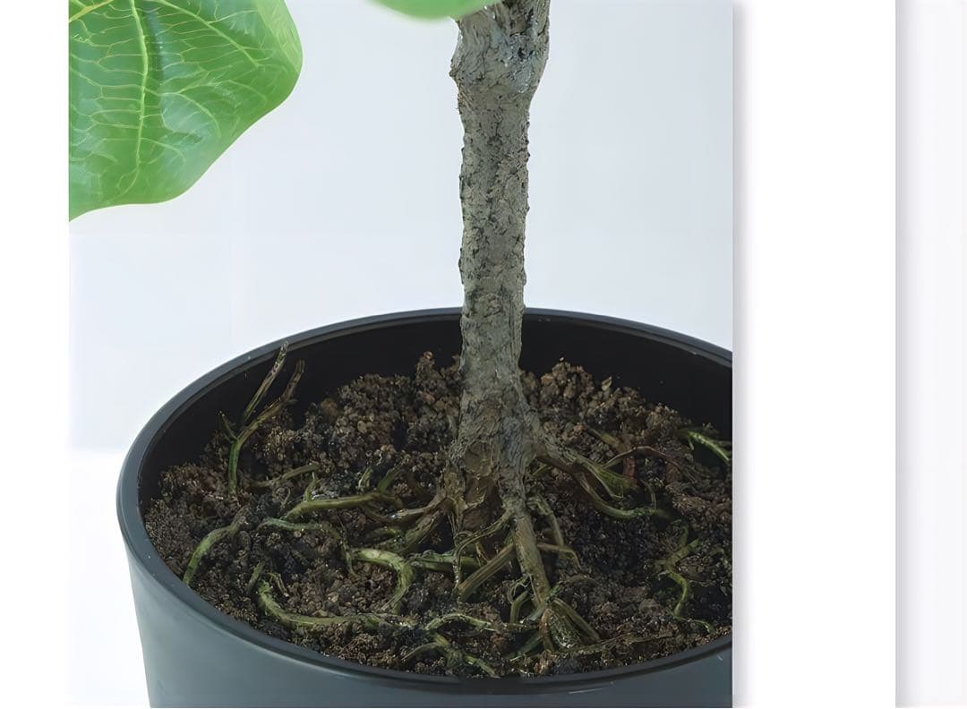 光触媒　人工観葉植物　ウォールグリーン　フェイクグリーン　デコラゴムルーツポット